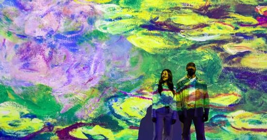 Monet : The Immersive Experience