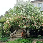 Mongenan fête les Rendez-vous aux jardins