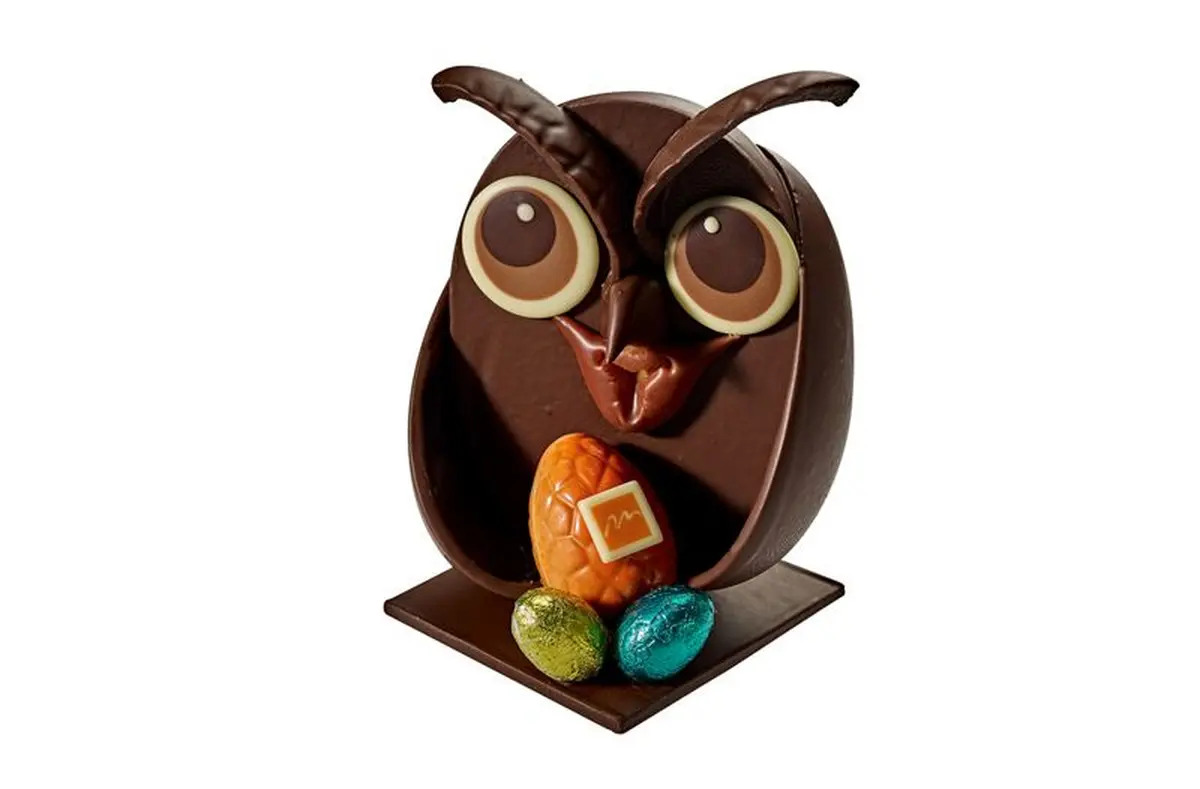 Monsieur Hibou - Thierry Mulhaupt