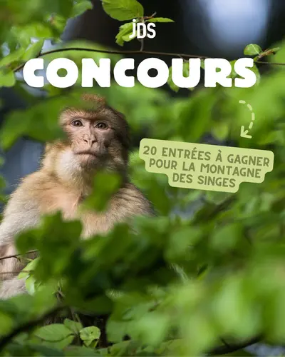 Montagne des Singes : des entrées à gagner pour une sortie nature en famille