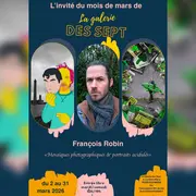 Mosaïques photographiques et portraits acidulés