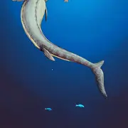 Mosasaures, quand les lézards régnaient sur les mers