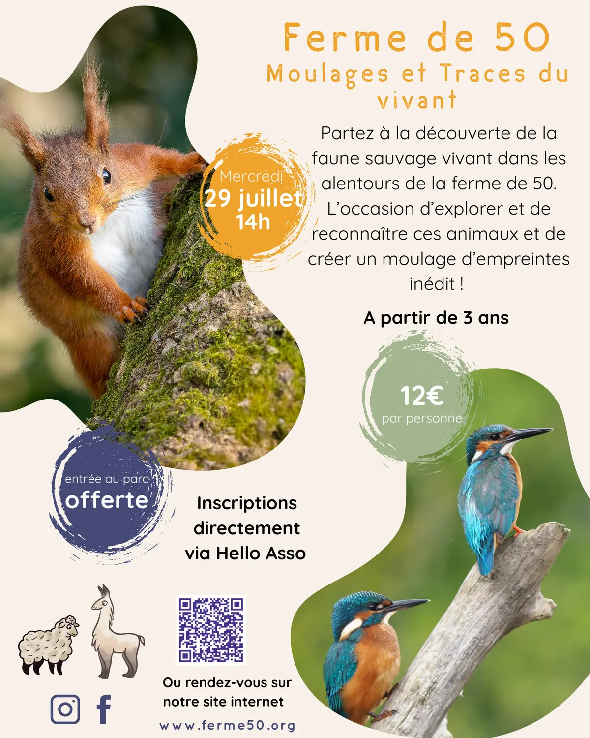 Moulages Et Traces Du Vivant