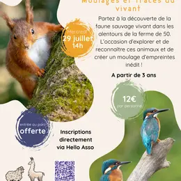 Moulages Et Traces Du Vivant