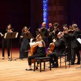 Mozart, Les Grandes Symphonies