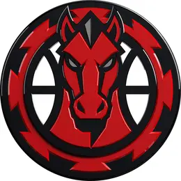 Mulhouse - Besançon (basket)