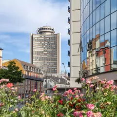 Mulhouse en 1 jour : l’itinéraire idéal entre centre historique, street art et Cité de l’Automobile