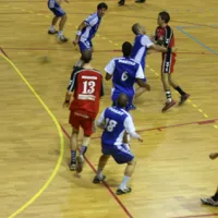 Mulhouse Handball Sud Alsace DR