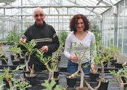 Mulhouse : le conservatoire botanique sauve la flore en danger