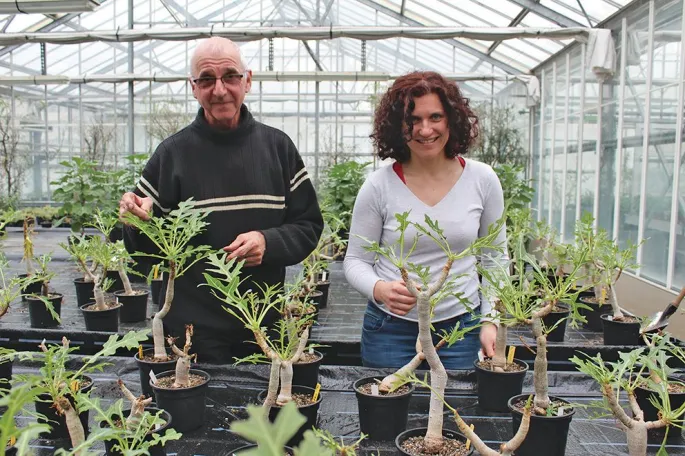 Mathieu Hildebrand et Muriel Litzer font germer et pousser des plantes, qui comptent parmi les plus menacées, en dehors de leur milieu naturel : un travail de pionnier reconnu dans les autres conservatoires botaniques de France