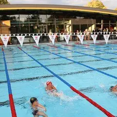Mulhouse Olympic Natation