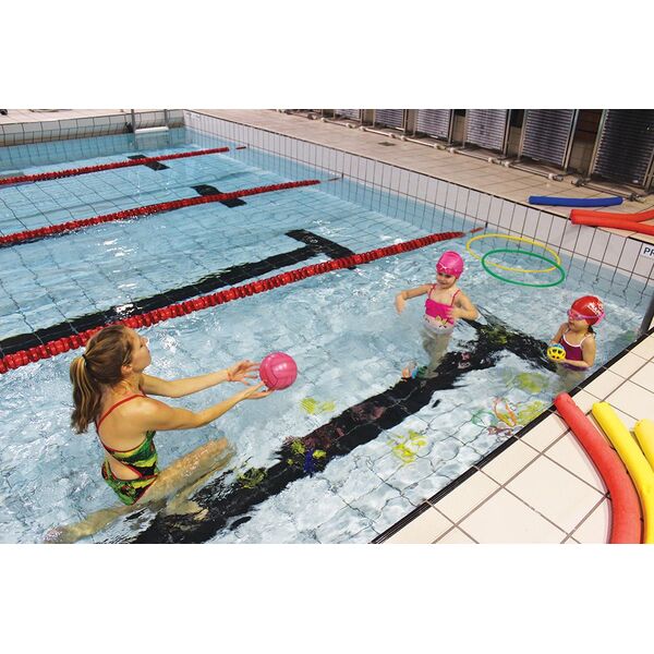 Mulhouse Olympic Natation Apprendre à Nager Comme Un Pro Actu