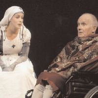  Le Théâtre de la Sinne à Mulhouse : la saison 2005-2006 DR