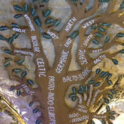 Mundolingua : atelier langues