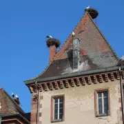 Escapade à Munster, entre histoire et nature