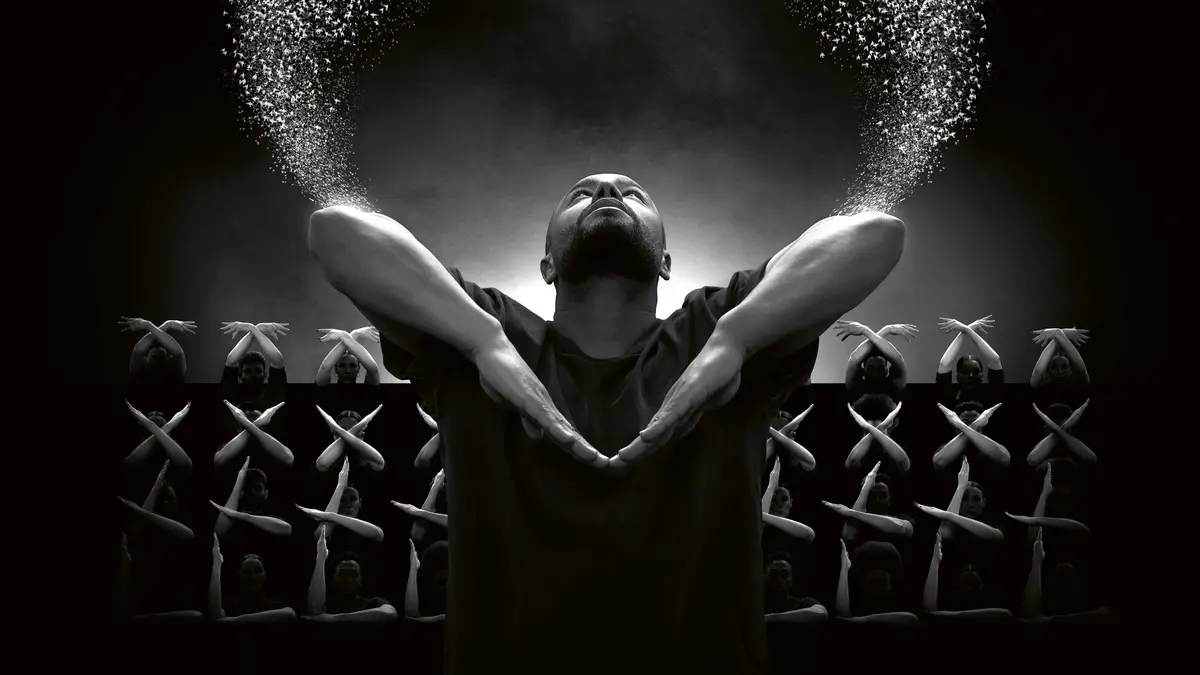 Murmuration Level 2