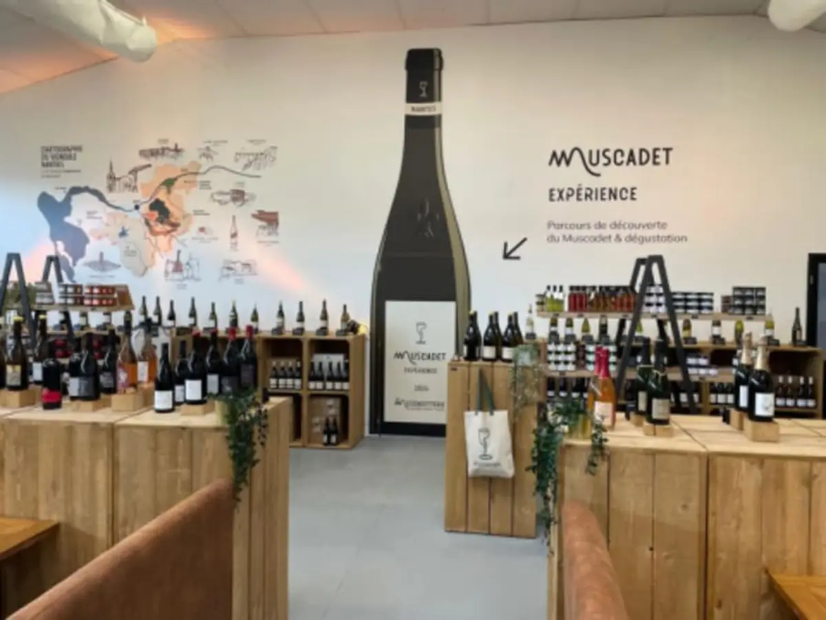 Muscadet Expérience : parcours ludique & dégustation de vin (44)