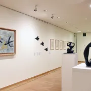 Musée d\'Art Moderne - Donation Maurice Jardot