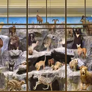 Musée d'Histoire Naturelle de Lille