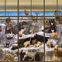 Musée d'Histoire Naturelle de Lille