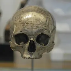 Musée de l’Homme: Billet coupe-file