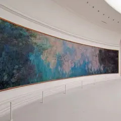 Musée de l'Orangerie: Visite guidée privée