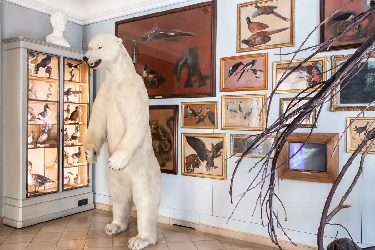 Musée de la Chasse et de la Nature de Paris
