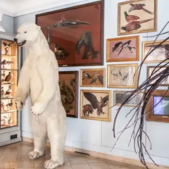 Musée de la Chasse et de la Nature