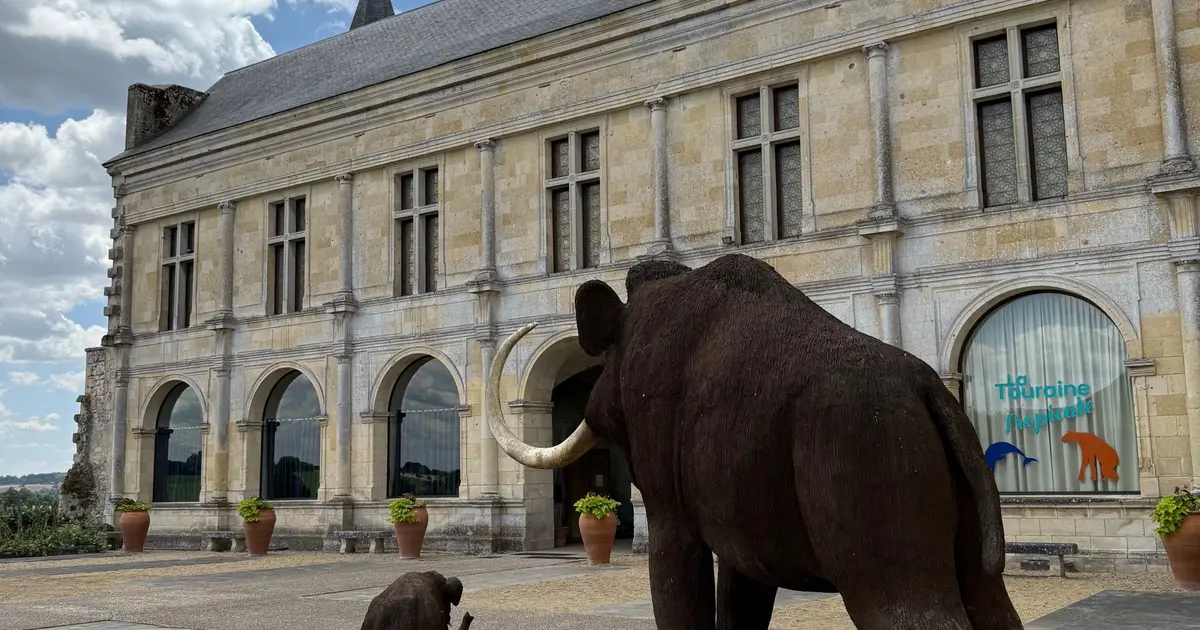 Musée de la Préhistoire