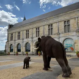 Musée de la Préhistoire
