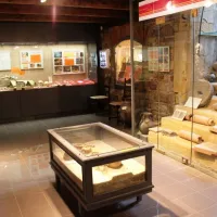 Musée de la Régence&nbsp;: partie archéologie  DR