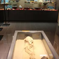 La partie archéologique du Musée de la Régence &copy; dr