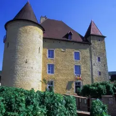 Musée de la vigne et du vin