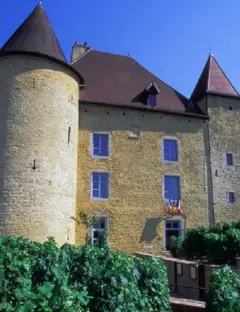 Musée de la vigne et du vin