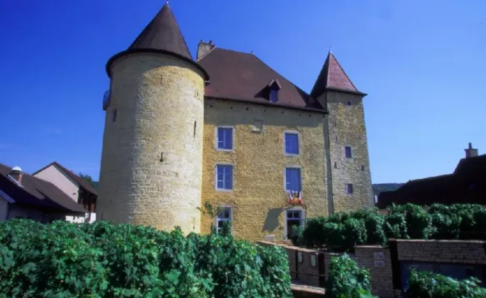 Le château Pécauld dans lequel est installé le Musée de la vigne et du vin