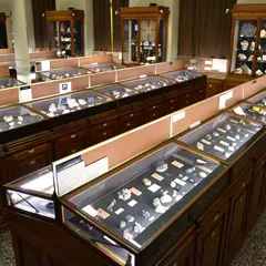 Musée de Minéralogie de Strasbourg