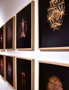 Musée des Beaux-Arts de Belfort