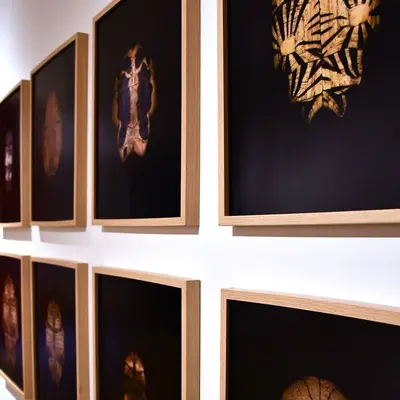 Musée des Beaux-Arts de Belfort