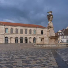 Musée des Beaux-Arts et d'Archéologie
