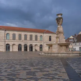 Musée des Beaux-Arts et d'Archéologie
