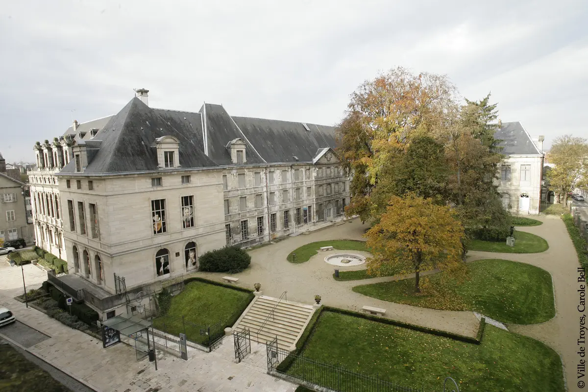 Musée des Beaux-Arts et d'Archéologie, Museum d'Histoire Naturelle - JEP 2026