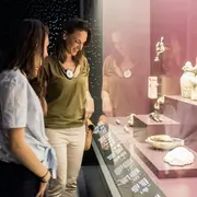 Musée des Confluences: Billet d'entrée