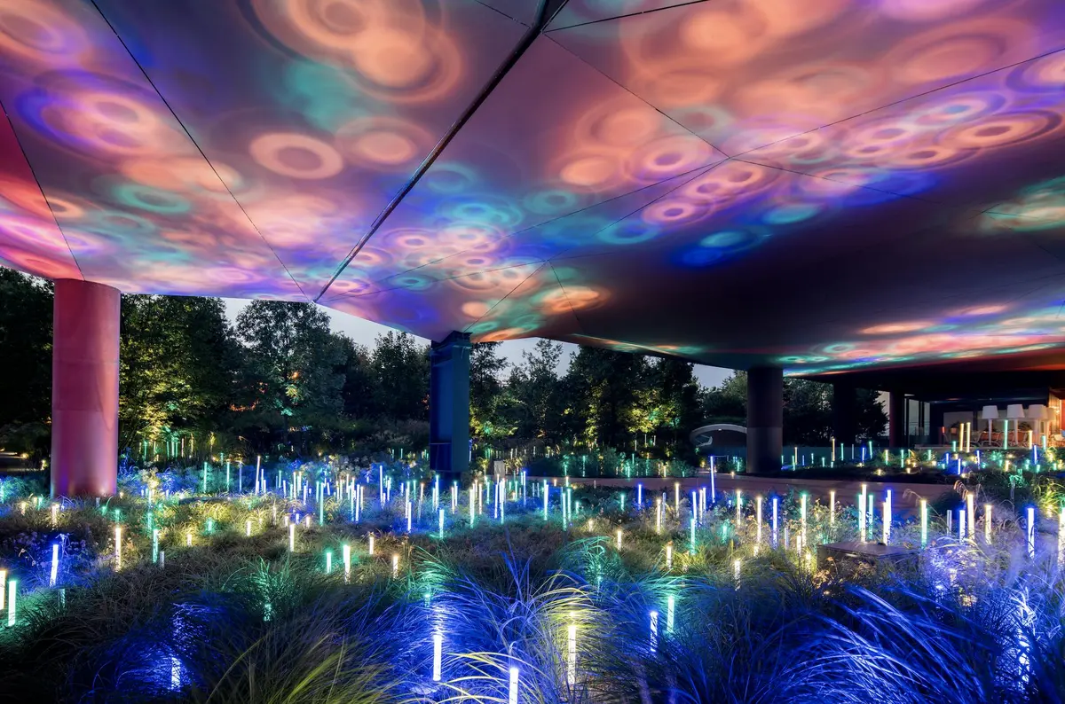 Une installation lumineuse extérieure composée de tiges colorées et illuminées et de projections circulaires sur une canopée, entourée d'arbres et de feuillages.