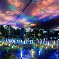 Musée du quai Branly - Jacques Chirac : Pass annuel coupe-file