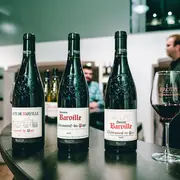 Musée du vin de Brotte : Entrée + Dégustation