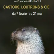 Musée L'Abbaye - Exposition: Castors, loutrons & cie