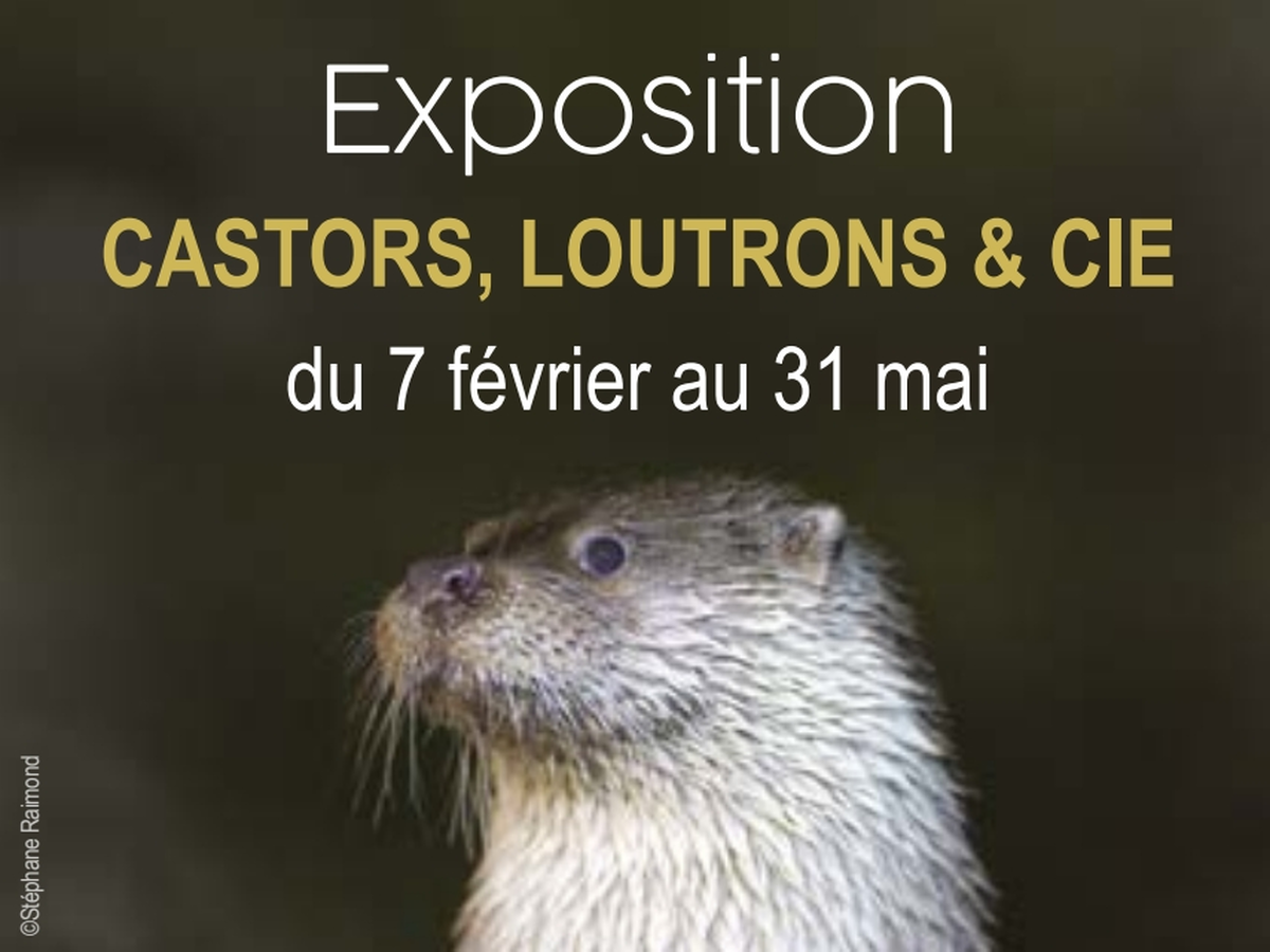 Musée L'Abbaye - Quizz - Qui connaît mieux la rivière ?