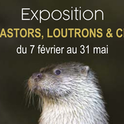 Musée L'Abbaye - Quizz - Qui connaît mieux la rivière ?