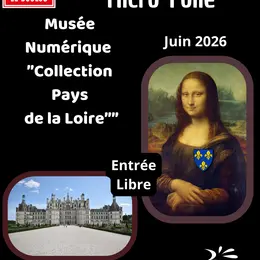 Musée Numérie Collection Pays De La Loire