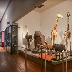 Museum Aquarium de Nancy